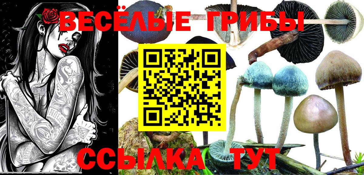 Галлюциногенные грибы прущие грибы  Вход с VPN  Междуреченск  Псилоцибиновые грибы ЛСД 
